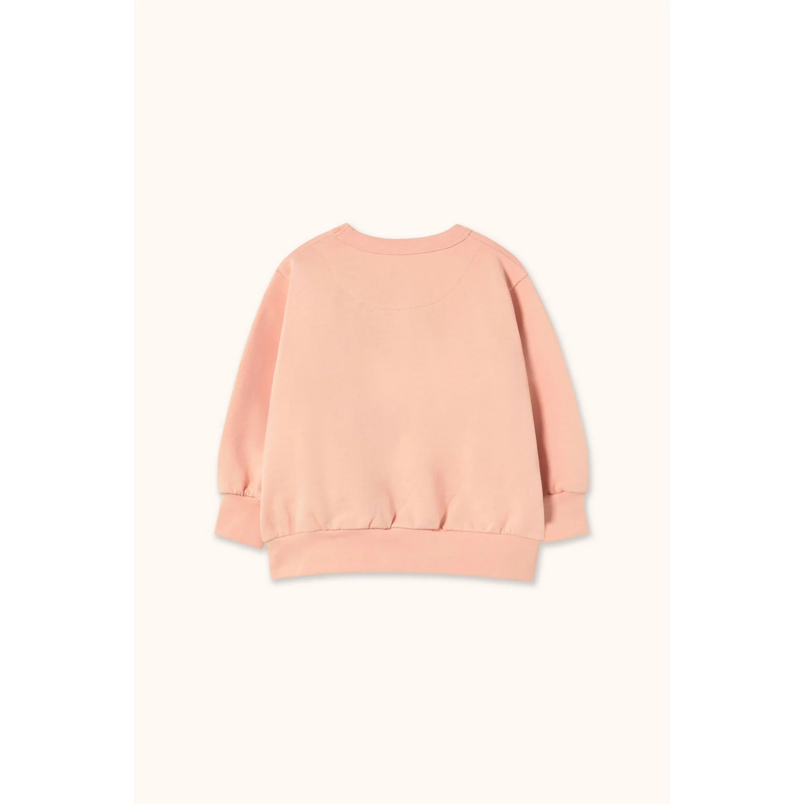 Tiny Cottons Wild Rose Graphic Sweatshirt - Image 2